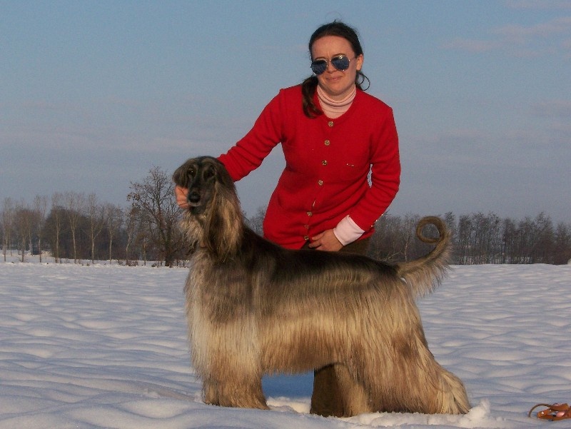 CH. Comtesse d'azaïs De aikhanoum