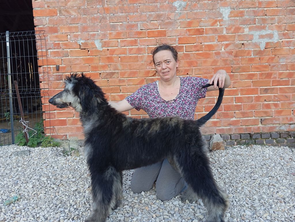 Apollon dieu De aikhanoum